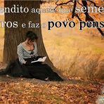 Livros - Bendito aquele que semeia livros e... Livros - Bendito aquele que semeia livros e...