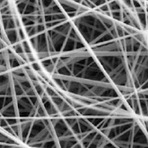 Tecnologia & Ciência - Ciência Avançada : Cientistas criam fibras orgânicas que se constroem sozinhas Tecnologia & Ciência - Ciência Avançada : Cientistas criam fibras orgânicas que se constroem sozinhas