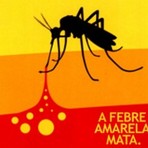 Ciência - Saiba também: " diferença entre febre amarela e amarelão" Ciência - Saiba também: " diferença entre febre amarela e amarelão"