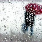 Poesias - Chuva de Vida Poesias - Chuva de Vida
