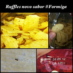Curiosidades - Reclamação: ElmaChips novo sabor formiga ou içá Curiosidades - Reclamação: ElmaChips novo sabor formiga ou içá
