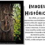 Fotos - Faça amor não faça guerra Fotos - Faça amor não faça guerra