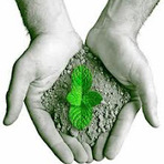Meio ambiente - Sociedade ambiental X Pseudotradições Meio ambiente - Sociedade ambiental X Pseudotradições