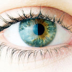 Saúde - Dicas para saúde dos olhos Saúde - Dicas para saúde dos olhos