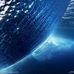 Downloads Legais - Os melhores wallpapers da National Geographic Downloads Legais - Os melhores wallpapers da National Geographic