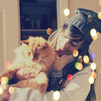 Fotos - Fotografia: Inspiração com seus gatinhos. Fotos - Fotografia: Inspiração com seus gatinhos.