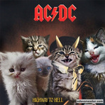 Fotos - Gatos em capas de álbuns de bandas de rock. Fotos - Gatos em capas de álbuns de bandas de rock.