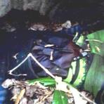 Violência - Assassinato sem esclarecimentos em Capela do Alto Alegre-Ba Violência - Assassinato sem esclarecimentos em Capela do Alto Alegre-Ba
