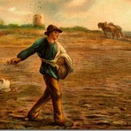 Religião - A parábola do semeador – Quatro tipos de solos Religião - A parábola do semeador – Quatro tipos de solos