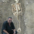 Mistérios - Ossada de Sereia Encontrada na Bulgária. Mistérios - Ossada de Sereia Encontrada na Bulgária.