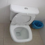 Curiosidades - Dica para você mesmo desentupir o vaso sanitário Curiosidades - Dica para você mesmo desentupir o vaso sanitário